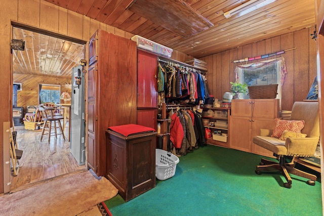 spacious closet featuring carpet floors