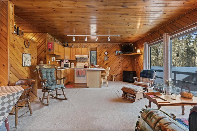 carpeted living room with wood ceiling, wooden walls, and track lighting