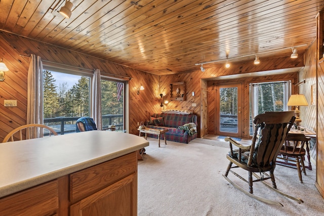 carpeted living room with wood ceiling, track lighting, a healthy amount of sunlight, and wood walls