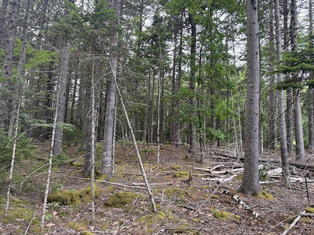 001-108 Oak Point Rd, Trenton, ME 04605 - photo 5