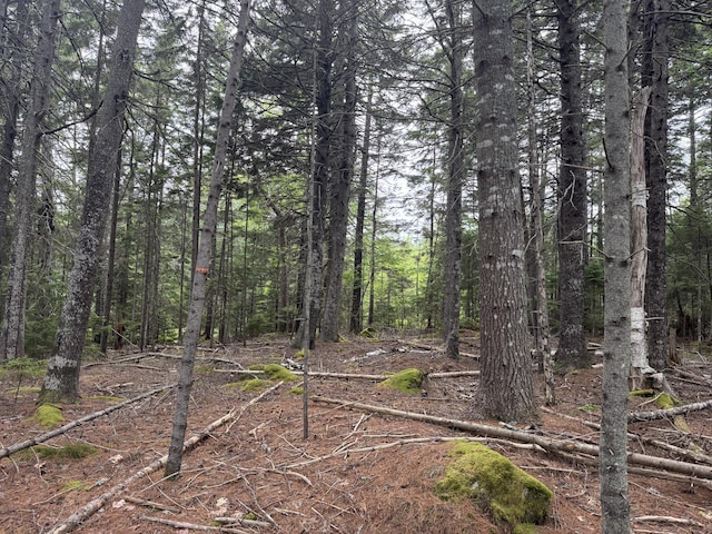 001-108 Oak Point Rd, Trenton, ME 04605 - photo 3
