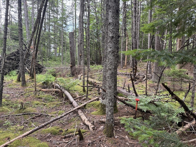 001-108 Oak Point Rd, Trenton, ME 04605 - photo 6