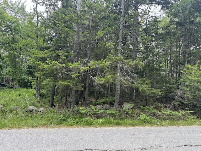 001-108 Oak Point Rd, Trenton, ME 04605 - photo 2