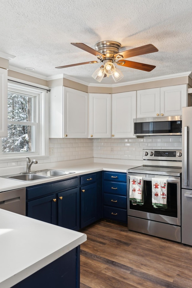 kitchen featuring sink, blue cabinetry, appliances with stainless steel finishes, white cabinetry, and dark hardwood / wood-style floors