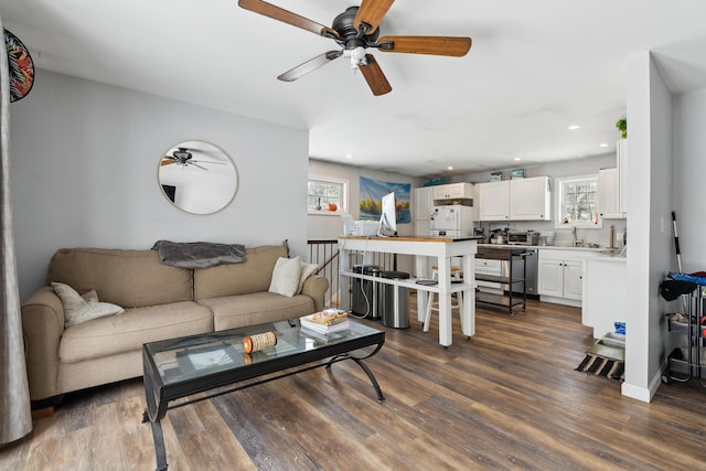 living room with dark hardwood / wood-style flooring and sink