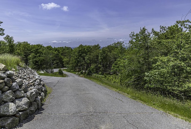 40 Skyline Dr, Holden, ME 04429 - view of street with a forest view