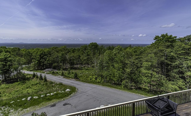 40 Skyline Dr, Holden, ME 04429 - aerial view of a forest