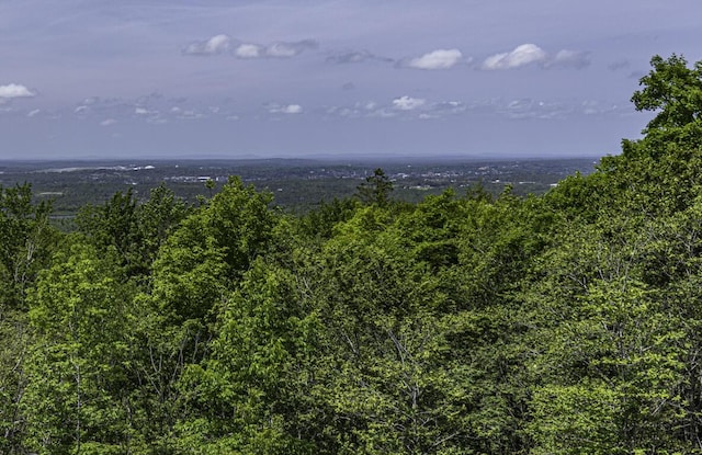 40 Skyline Dr, Holden, ME 04429 - bird's eye view of a heavily wooded area