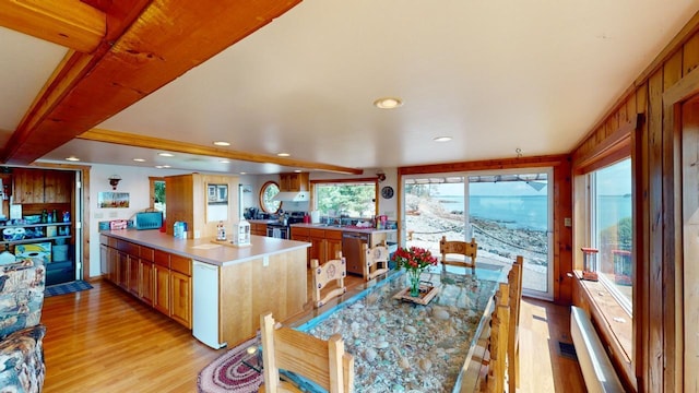 dining area with light hardwood / wood-style floors