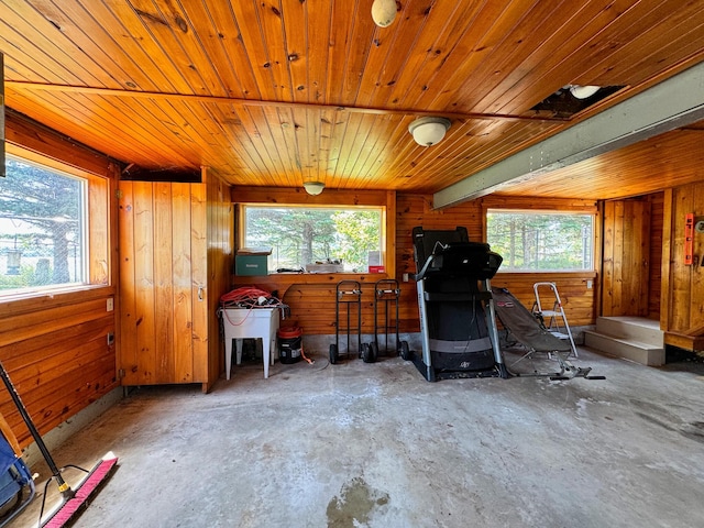 miscellaneous room featuring plenty of natural light, concrete floors, and wood walls