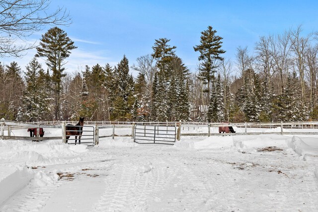 yard layered in snow featuring an outbuilding