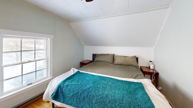 bedroom featuring lofted ceiling, wood finished floors, and a ceiling fan