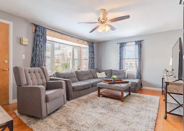 living room featuring ceiling fan and wood-type flooring