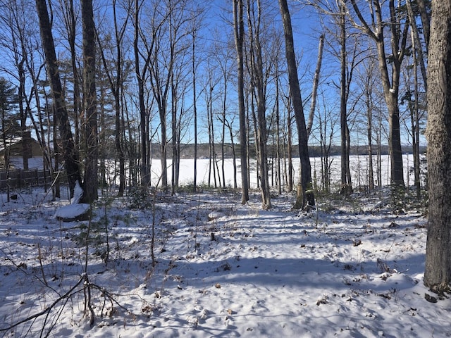 view of yard covered in snow