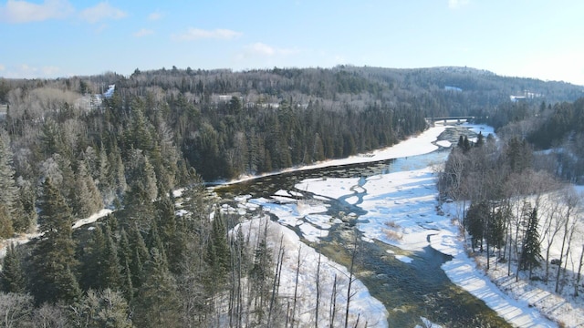 120 Bradbury Rd, Fort Kent, ME 04743 - drone / aerial view