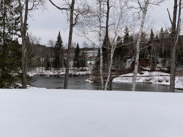 120 Bradbury Rd, Fort Kent, ME 04743 - view of yard layered in snow