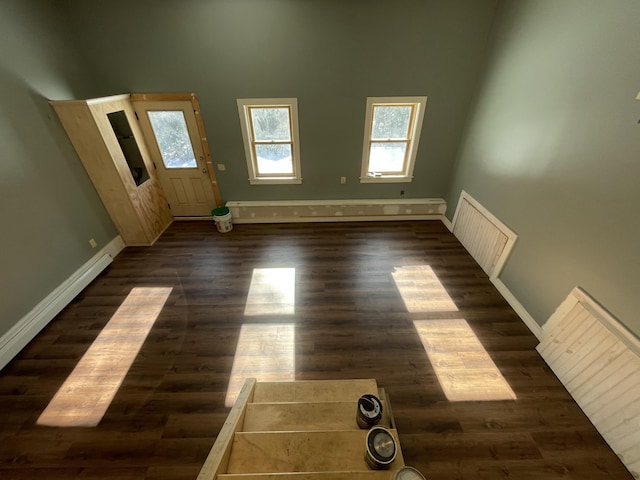 foyer entrance featuring dark wood-type flooring, a healthy amount of sunlight, and a baseboard heating unit