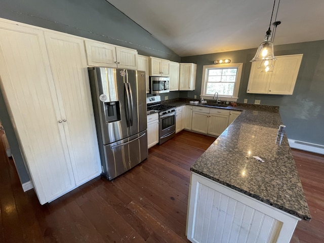 kitchen with vaulted ceiling, pendant lighting, sink, dark hardwood / wood-style flooring, and stainless steel appliances