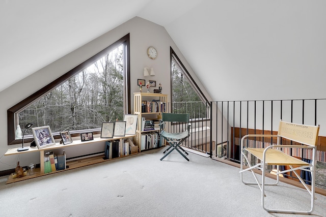 417 Middle Rd, Falmouth, ME 04105 - additional living space with lofted ceiling, carpet floors, and plenty of natural light