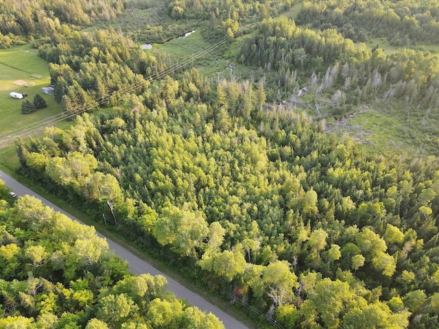 M6L38 Coffin Rd, Washburn, ME 04786 - photo 2