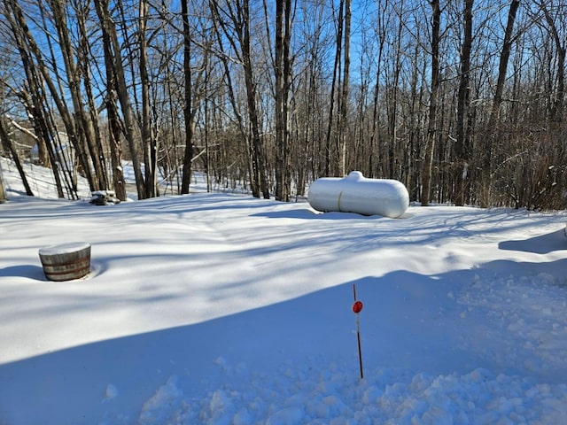 view of yard layered in snow