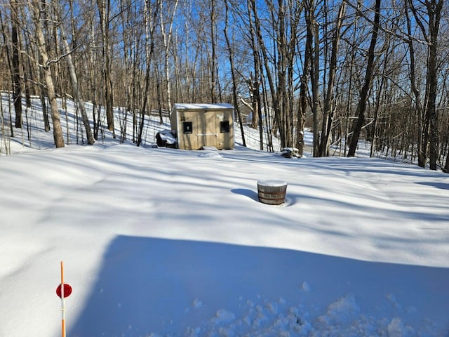 view of yard covered in snow