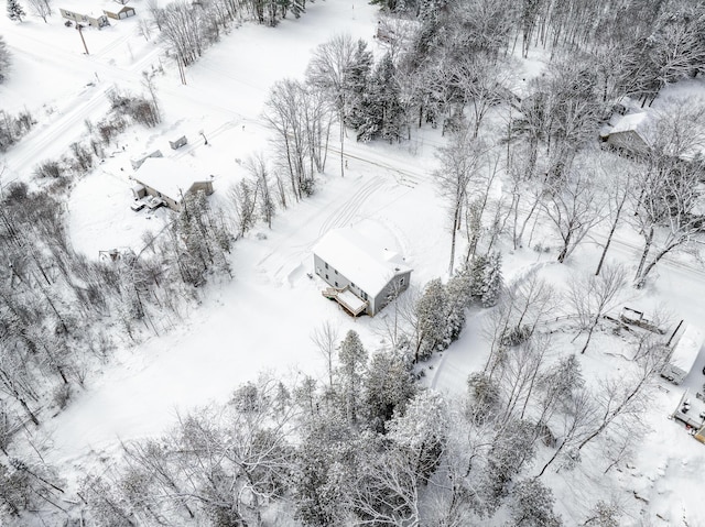 view of snowy aerial view