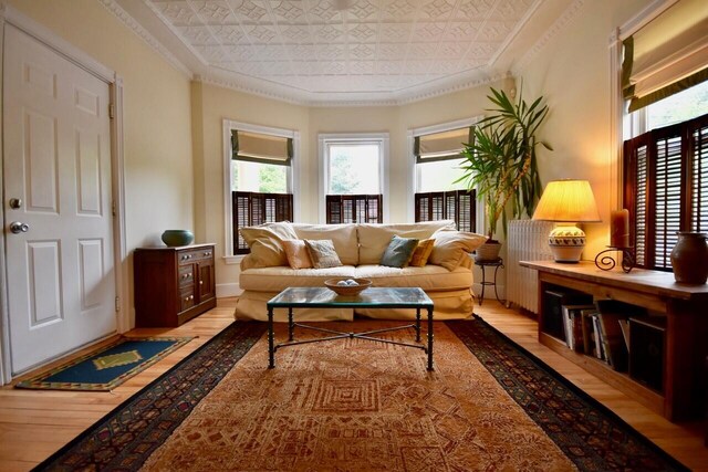 living room with ornamental molding and light hardwood / wood-style floors