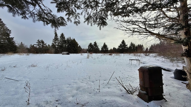 view of yard layered in snow