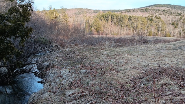 7 Hidden Meadow Ln, Dixfield, ME 04224 - view of landscape featuring a view of trees and a mountain view