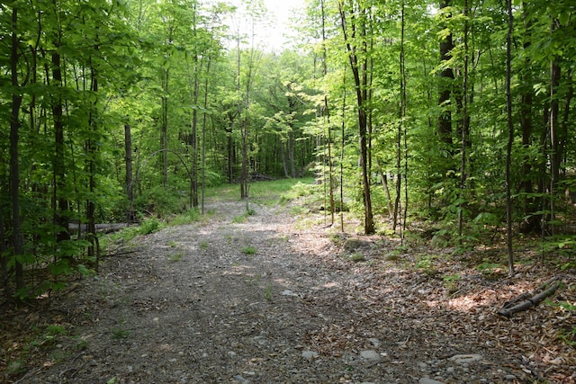 M12L1-14 Ira Mountain Rd, Kingfield, ME 04947