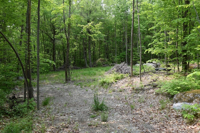 M12L1-14 Ira Mountain Rd, Kingfield, ME 04947
