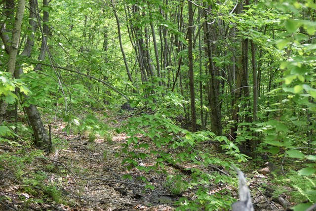 M12L1-14 Ira Mountain Rd, Kingfield, ME 04947