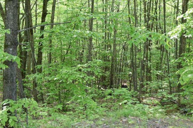 M12L1-14 Ira Mountain Rd, Kingfield, ME 04947