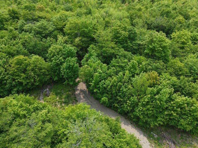 M12L1-14 Ira Mountain Rd, Kingfield, ME 04947