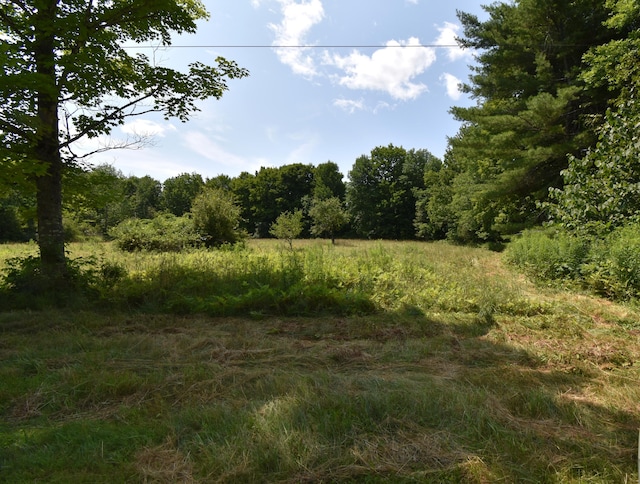 view of local wilderness