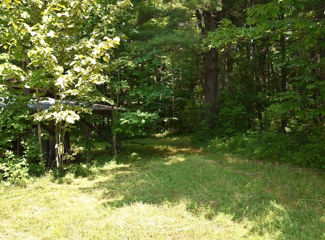 view of local wilderness