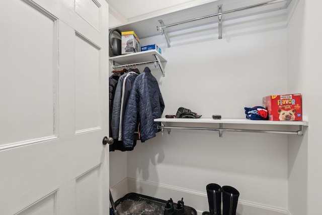 view of spacious closet