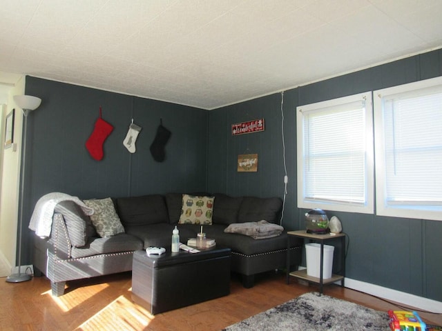 living room featuring wood-type flooring