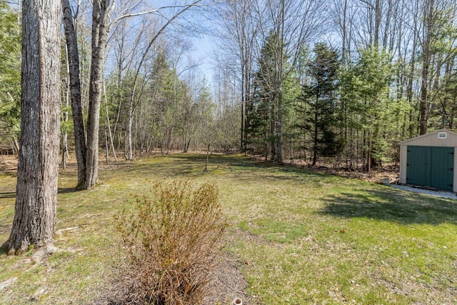 view of yard featuring an outdoor structure and a shed