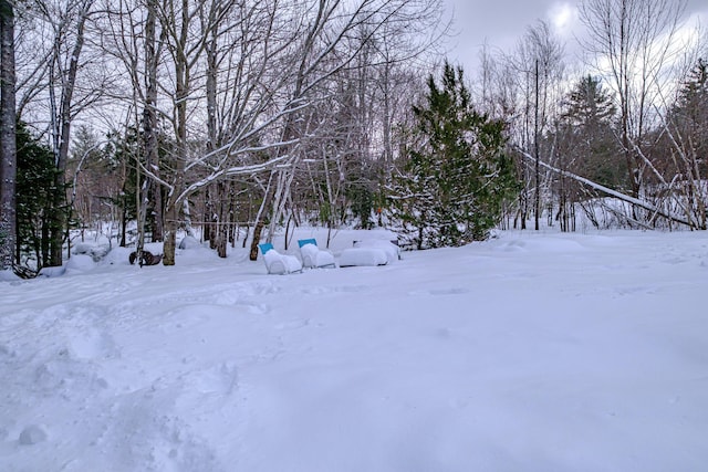 view of snowy yard