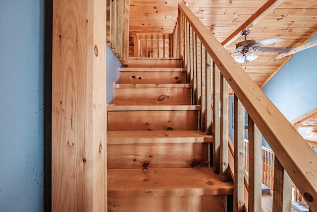 stairs with ceiling fan and wood ceiling