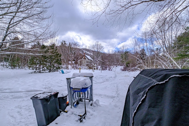 view of snowy yard