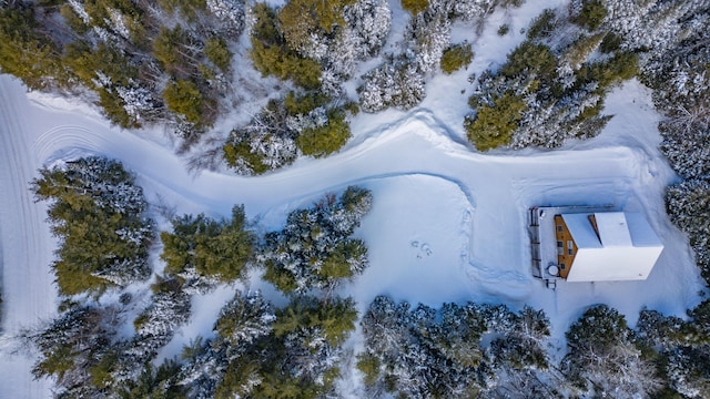 view of snowy aerial view