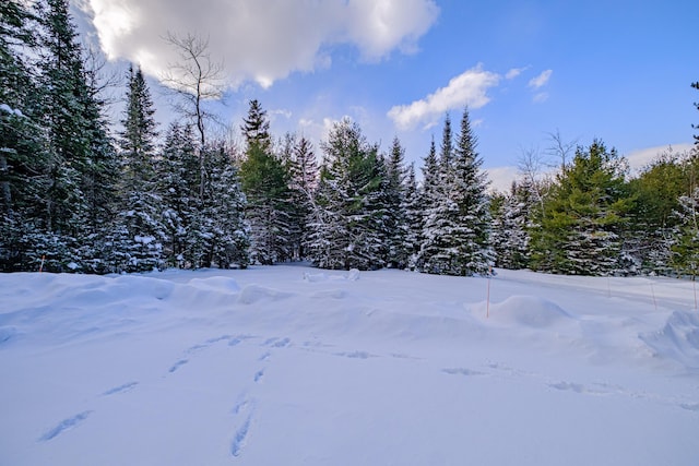 view of yard layered in snow