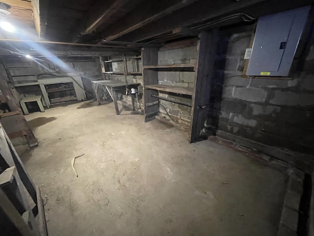 unfinished basement with electric panel