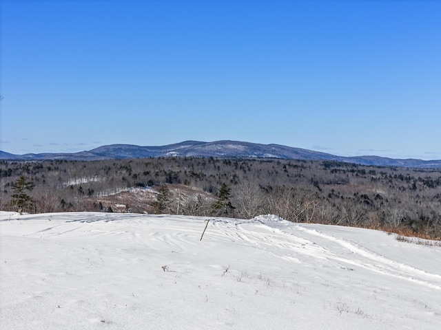 Listing photo 2 for TBD Hopper Road, Acton ME 04001