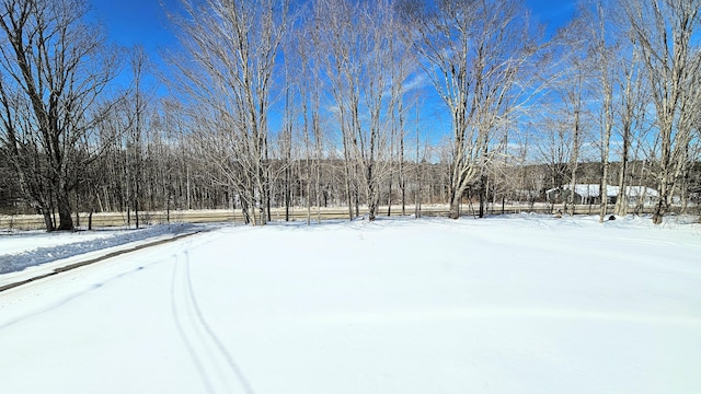 view of yard covered in snow