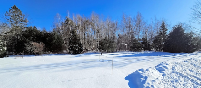 view of snowy yard