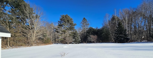 view of yard covered in snow